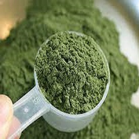 Kratom powder